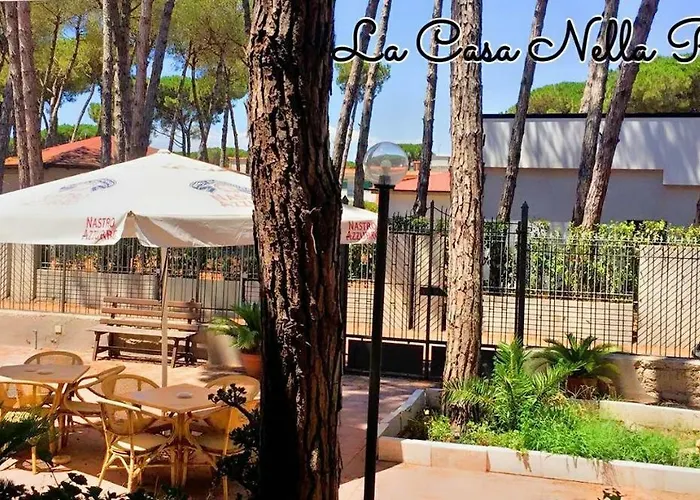 La Casa Nella Pineta